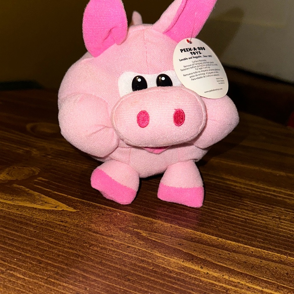 Peek A Boo Pig